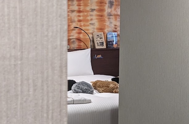 入口から覗き見えるベッドの上のミャウエバーたち